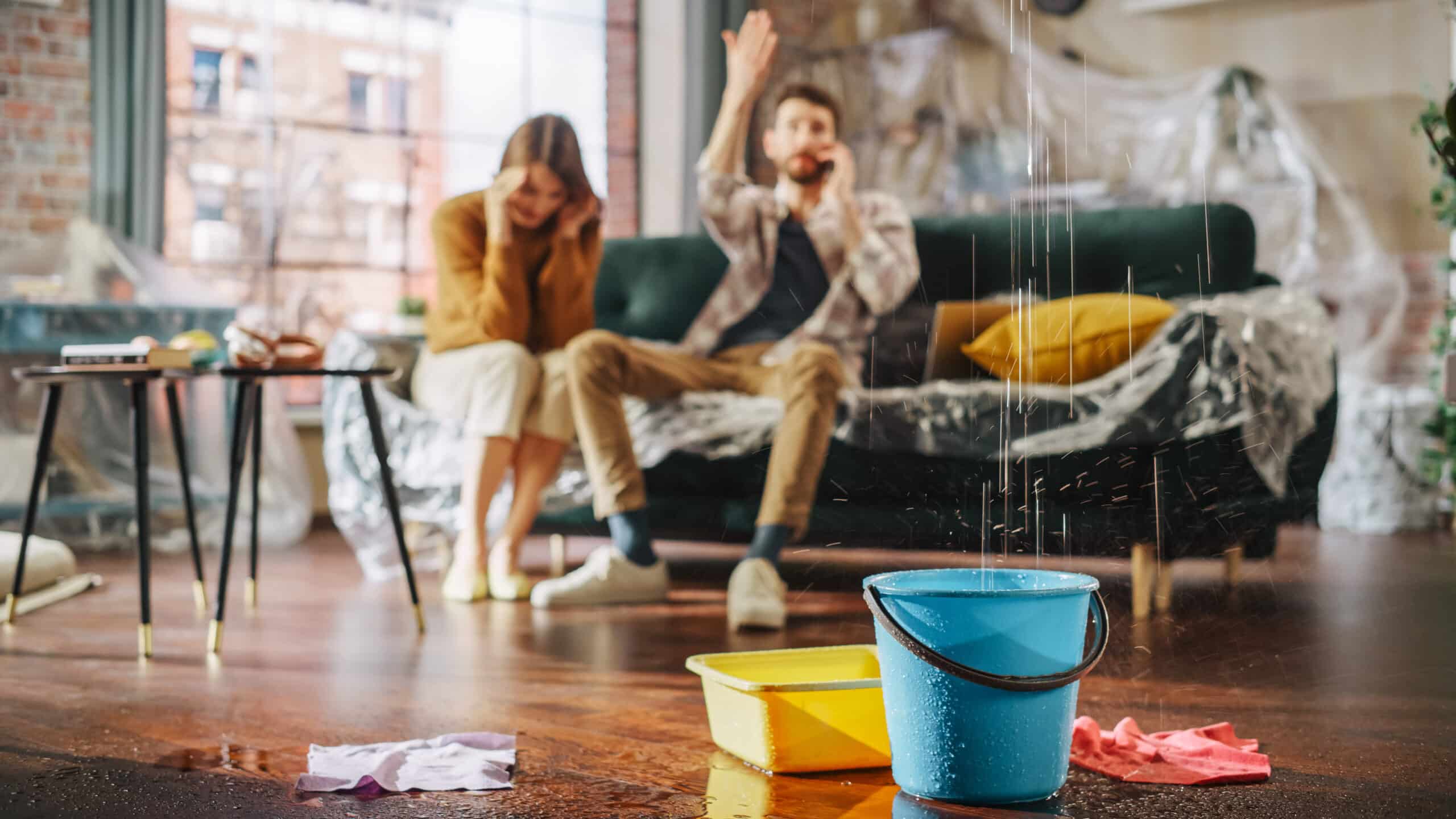 AdobeStock 555123615 scaled