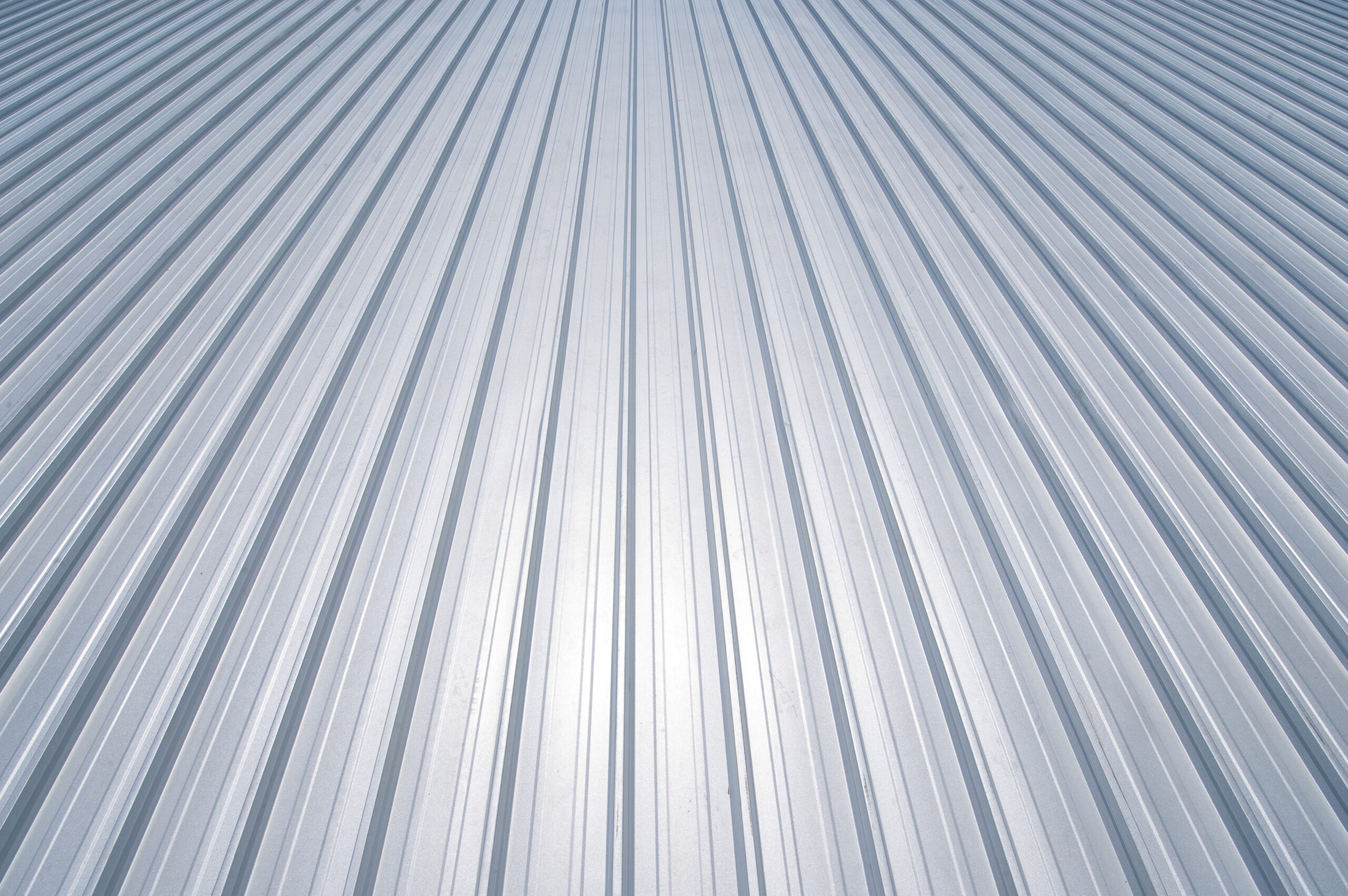 AdobeStock 12721158 scaled